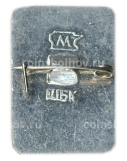 Значок Кандалакша