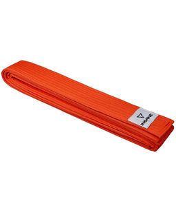 Пояс для единоборств INSANE BASE IN23-B240, хлопок/полиэстер, оранжевый, 240 см