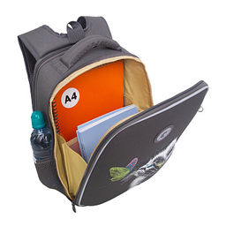 RAw-694-3 Рюкзак школьный с чехлом для мелочей - Grizzly фото 26