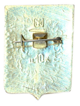 Значок Острогожск