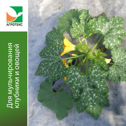 Агротекс 80 (спанбонд) (1,6х5м) бело-черный 2-слойный (для мульчирования) - Спарк фото 4