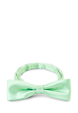 Галстук-бабочка мужской GREG Greg-poly 17-мятный одн.1.118