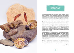 Древний мир. Бальзо А. - Махаон фото 3