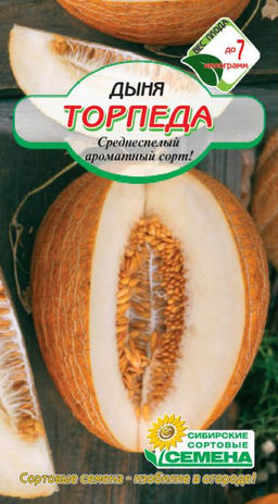 Торпеда дыня 10шт (ссс) Р