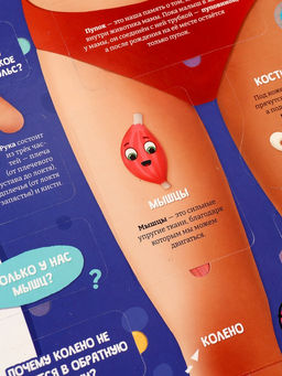 Книга с окошками «Как устроен человек?»