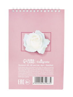 Цена за 5 шт. Блокнот А5, 60 листов в клетку, на гребне, обложка мелованный картон, блок 60г/м2, МИКС - Calligrata фото 4