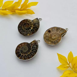 Кулон Аммонит