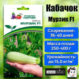 Кабачок Мурзик - Партнер фото 5
