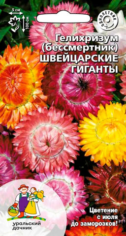 Гелихризум ШВЕЙЦАРСКИЕ ГИГАНТЫ