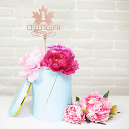 Цена за 5 шт. Топпер для торта деревянный «1 Сентября»