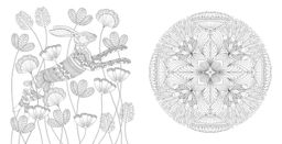 Чудеса природы. Золотая коллекция любимых иллюстраций (тв.обл.). Маротта М. - Колибри фото 4