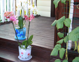 Кашпо ДЕКО 160мм 2,4 л, с поддоном арт. М3106