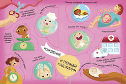 Волшебные окошки. Откуда берутся дети? - Робинс фото 8