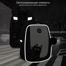 RAf-692-1 Рюкзак школьный с обвесом - Grizzly фото 42