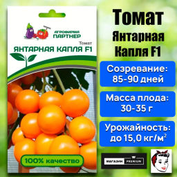 Томат Янтарная Капля - Партнер фото 2
