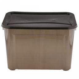 Контейнер для хранения пластмассовый 20л, 38,5х27х25,5см, универсальный, с крышкой, полипропилен, прозрачный (Россия) - Домашняя Мода фото 2