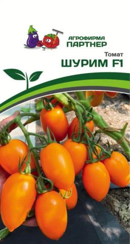 Томат Шурим