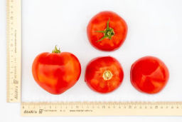 Томат Тореадор - Партнер фото 7