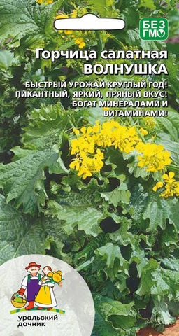 Горчица листовая ВОЛНУШКА  Быстрый урожай круглый год! Пикантный, яркий, пряный вкус! Богат минералами и витаминами!
