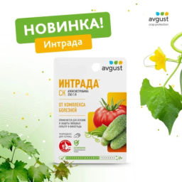 Август Интрада от комплекса болезней 10 мл
