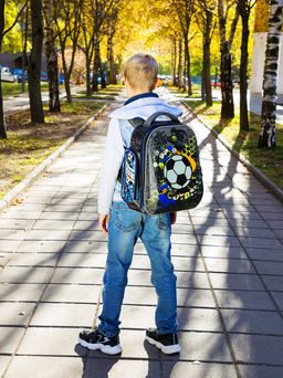 Z6 : Hummingbird  фото 2