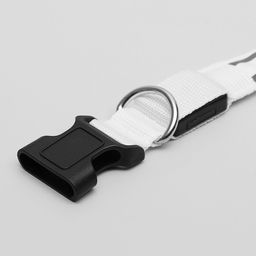 Ошейник с подсветкой Двойная полоса размер L, ОШ 45-52 х 2,5 см, 3 режима свечения белый - Пижон фото 5