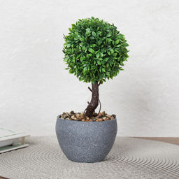 Цветочная композиция Зелень самшит 22 см / 9090-11 /уп 12/72/ - Галеонтрейд фото 6