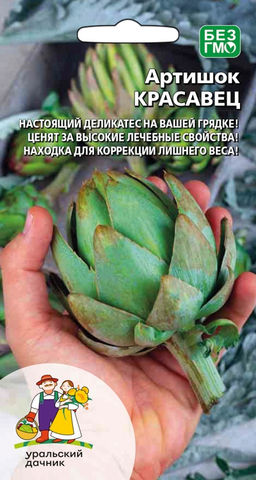 Артишок КРАСАВЕЦ Настоящий деликатес на вашей грядке! Ценят за высокие лечебные свойства! Находка для коррекции лишнего веса!