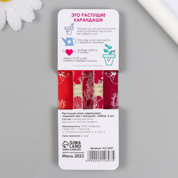 Набор для выращивания, карандаши подарочные «Львиный зев + гвоздика», mini, простые чернографитные, 2 шт.