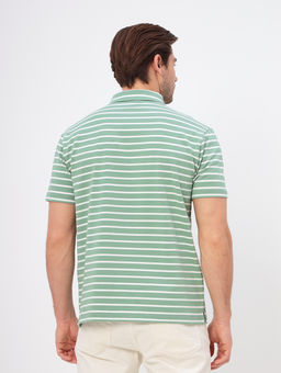 Джемпер мужской с воротником поло короткий рукав GREG G144-KD4-UT22 (зеленая полоска) фото 4