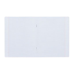 Набор тетрадей 12 листов в клетку Calligrata «Тигрёнок», обложка мелованный картон, МИКС, 10 шт.