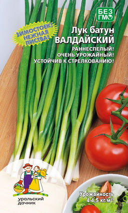 Лук батун ВАЛДАЙСКИЙ Зимостоек! Нежнаянежная листва! Раннеспелый! Очень урожайный! Устойчив к стрелкованию!