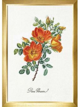 Набор для вышивания Thea Gouverneur 2028А Чайная роза 26 х 38 см