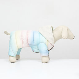 Комбинезон Для прогулки, размер 14 (ДС 28 см, ОГ 42 см, ОШ 31 см), пастельный - Simaland фото 2