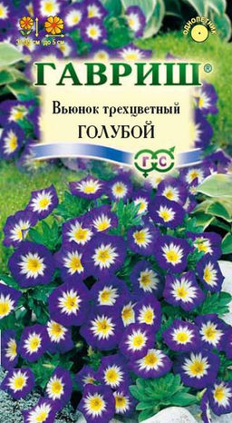 Вьюнок Голубой трехцветный 0,5гр (г)