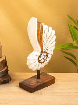 Набор сувенирный «Раковины», h=35 см, h=30 см, h=25 см, дерево, бежевый