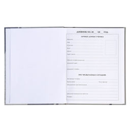 Цена за 3 шт. Дневник школьный для 5-11 классов, «Авто. Скетч», твёрдая обложка 7БЦ, глянцевая ламинация, 48 листов