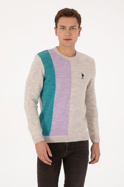 Erkek Regular Fit Bisiklet Yaka Ta_ Kazak