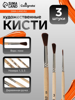 Цена за 3 шт. Набор кистей для рисования, пони, 3 штуки: №: 1, 3, 5, Calligrata, круглые, деревянная ручка, в пакете