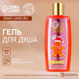 Гель для душа, 250 мл, аромат имбирного пряника, URAL LAB