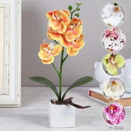 Цветочная композиция Орхидея 30 см / LM-17105 /уп 144/