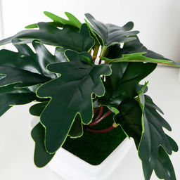 Искусственный цветок в горшке Филодендрон, 7?13 см