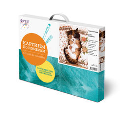 ФРЕЯ PNB/PM-214 Набор для раскрашивания по номерам 40 х 30 см Сны котика  фото 3