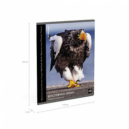 Цена за 5 шт. Тетрадь общая ученическая ErichKrause Энциклопедия, Красная книга России. Птицы, 48 листов, клетка, глянцевая ламинация_MIX-PACK  фото 11