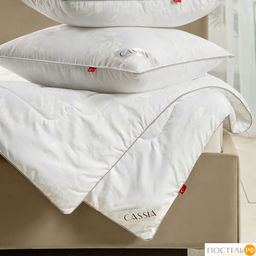 CASSIA АЙЛИН Одеяло 220х240, 1 пр., жаккард хл,виск.шелк/микрогель Airsoft  фото 14