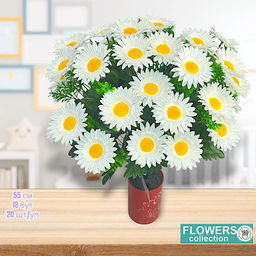 Букеты ромашек 55см 18 голов