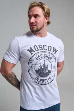 Футболка мужская 8503/1