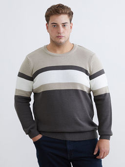 Bisiklet Yaka Renk Bloklu Erkek Triko Kazak