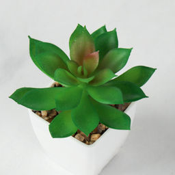 Цветочная композиция Кактус / WER-19 /уп 12/192/ микс - Галеонтрейд фото 5