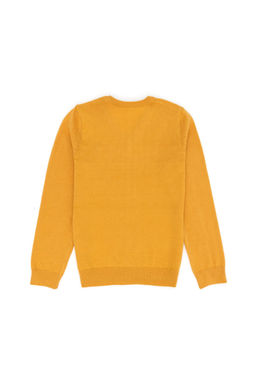 Базовый свитер горчичного цвета для мальчика - U.s. polo assn фото 5